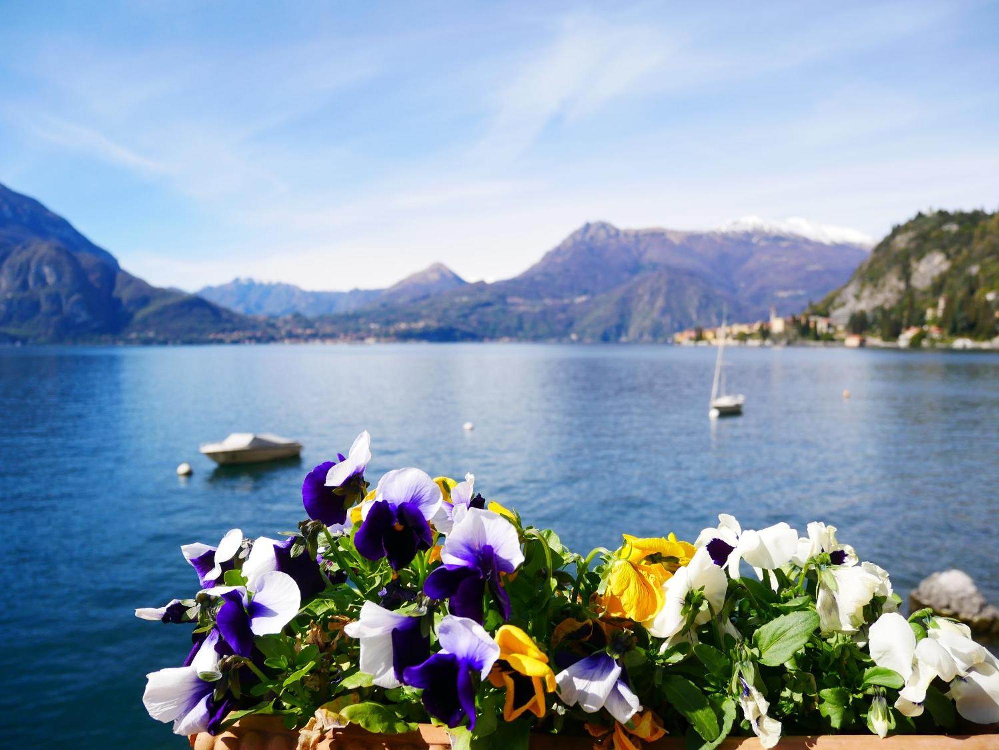 La Riva Appartamento Perledo ภายนอก รูปภาพ