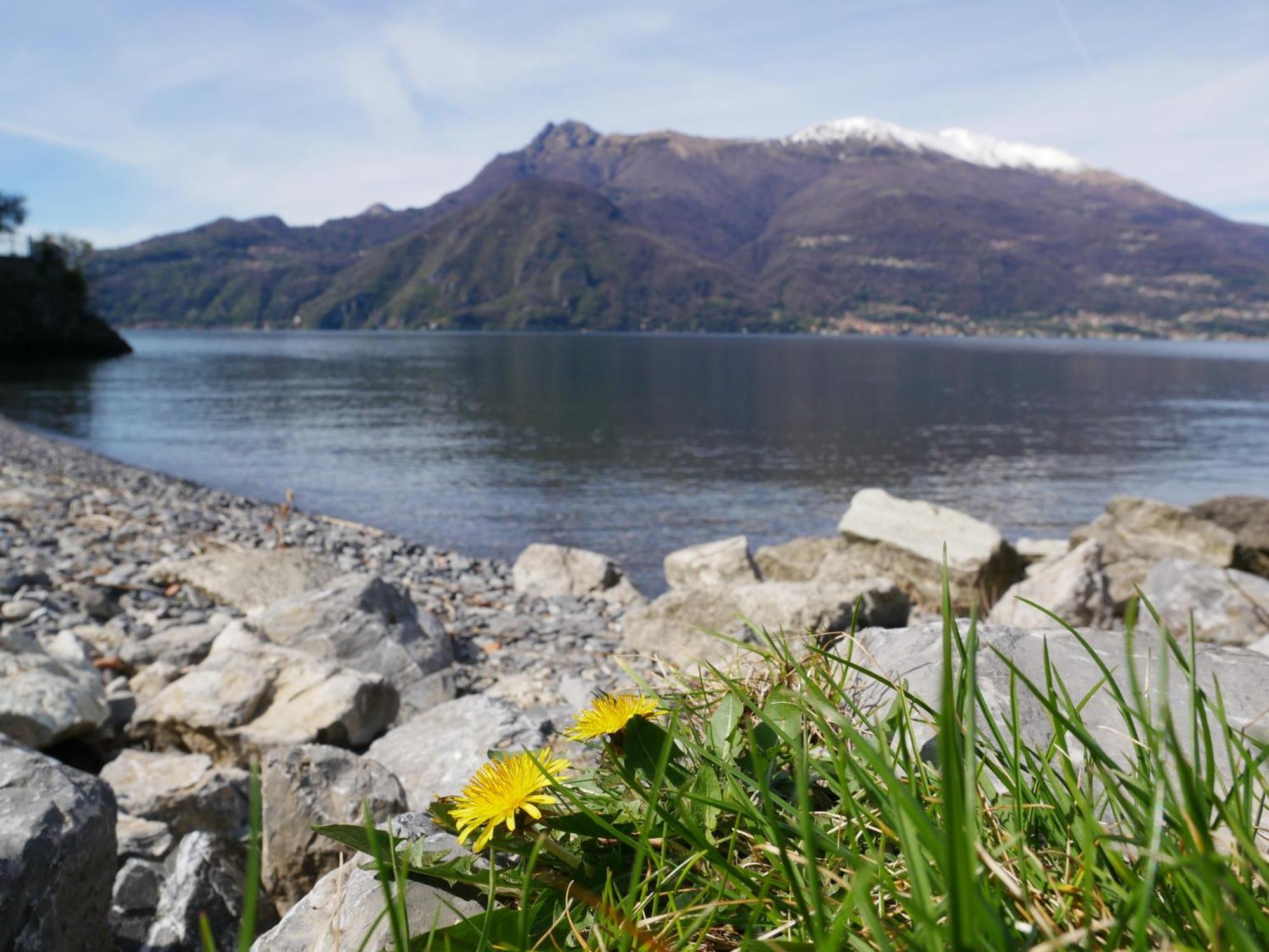 La Riva Appartamento Perledo ภายนอก รูปภาพ